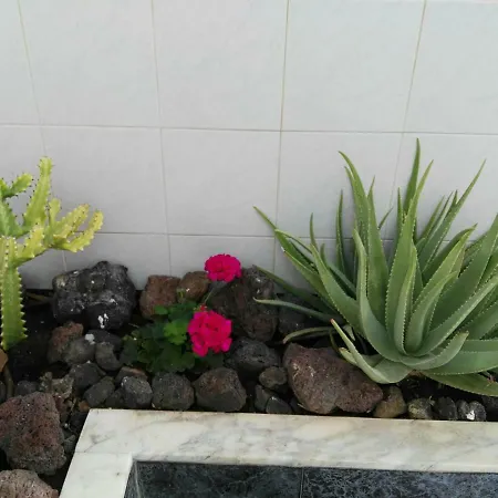 Apartman Tenerife Pearl *